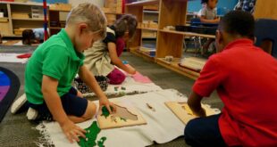 The Role of Outdoor Education in the Montessori Method